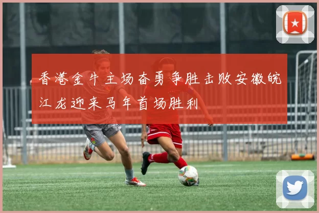 香港金牛主场奋勇争胜击败安徽皖江龙迎来马年首场胜利