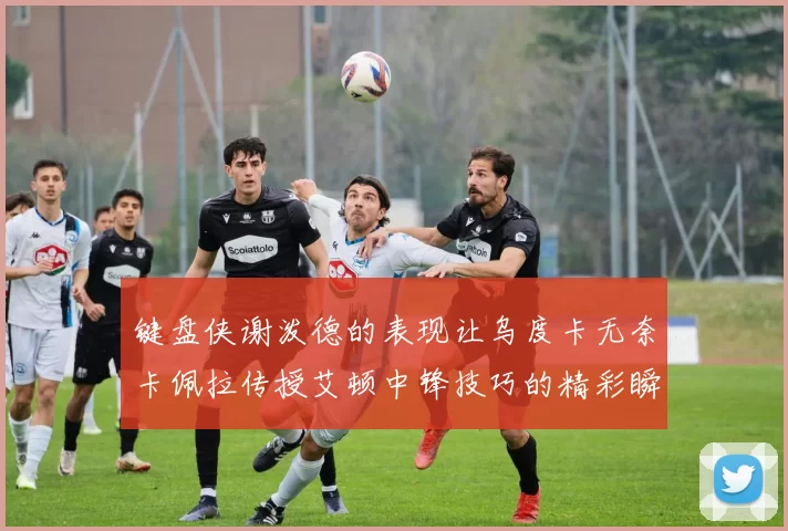 键盘侠谢泼德的表现让乌度卡无奈卡佩拉传授艾顿中锋技巧的精彩瞬间